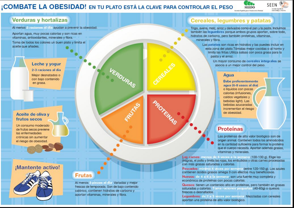 alimentacion saludable