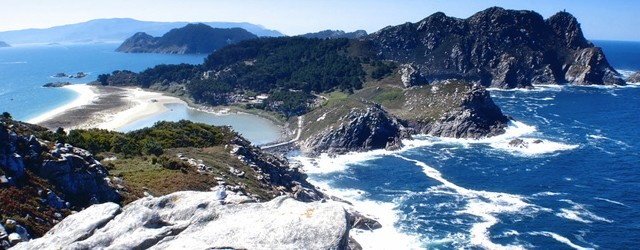 cies