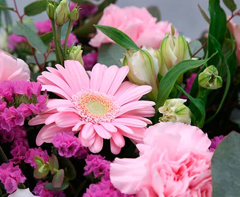 Floristeria para clientes de Talaso Atlantico